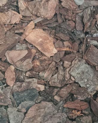 Corteccia Pino per Pacciamatura