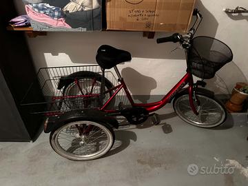 Bicicletta a tre ruote