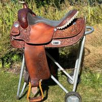 Sella americana da reaning  16