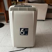 climatizzatore pinguino