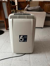 climatizzatore pinguino