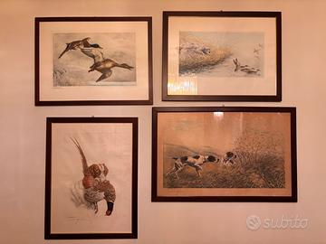 Leon danchin disegni