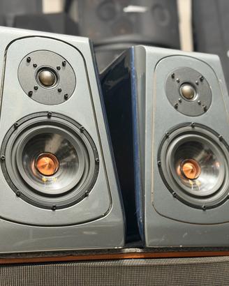 Aliante one Pinifarina casse passive