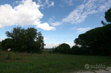 TR20 - un ampio terreno agricolo di circa