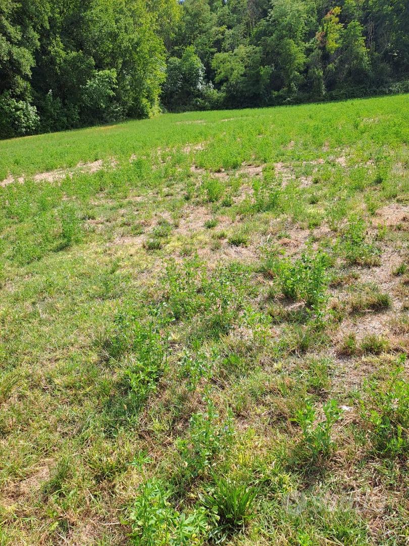 Rif 201b terreni agricoli e lotto edificabile a lo - Altro