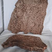 Sughero per terrario