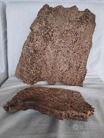 Sughero per terrario