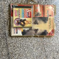 Rivista dance con cd