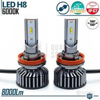 Kit Luci LED H8 CANbus Luce Bianca POTENTE6000K
