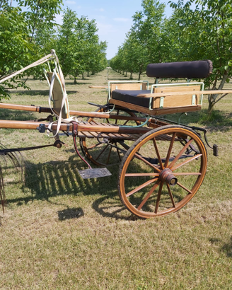 Calesse d'epoca