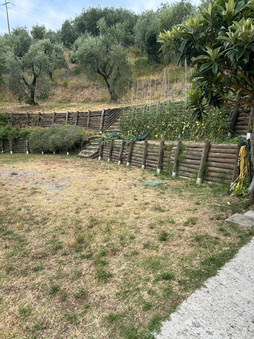 Vendita oliveto con annesso agricolo - Altro