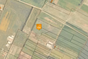 Immobile in asta di 77490 m² a Assemini
