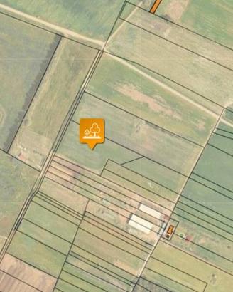 Immobile in asta di 77490 m² a Assemini