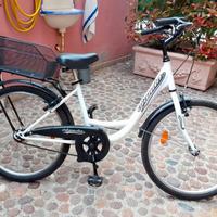 Bicicletta Denver Olanda 26"