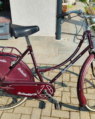Bici passeggio