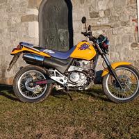 Honda SLR 650 - 1998