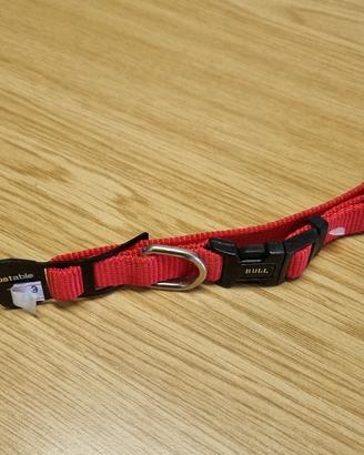 collare cane bull adjustable