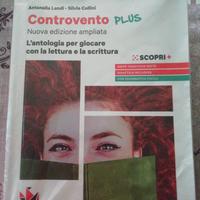 Controvento plus