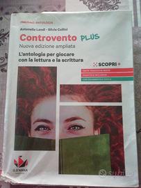 Controvento plus