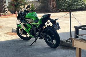 Kawasaki ninja 125