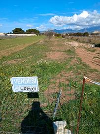 Terreno agricolo