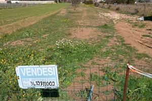 Terreno agricolo