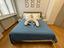 Immagine 28