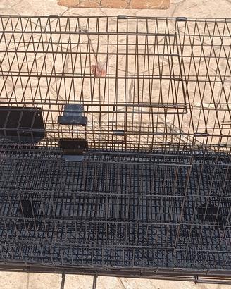 Gabbia spaziosa per conigli nani