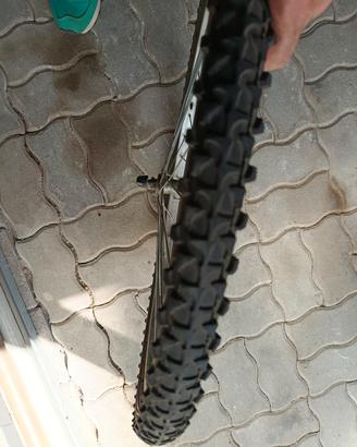 Ruota completa montbike 