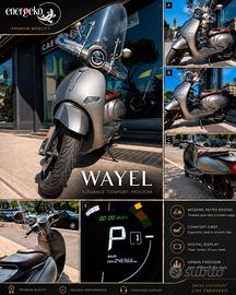 Wayel W3