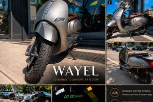 Wayel W3