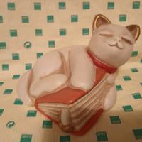 gatto con libro thun vecchia produzione 