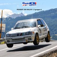 Peugeot 205 Rallye 1.3 Gruppo A