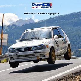 Peugeot 205 Rallye 1.3 Gruppo A