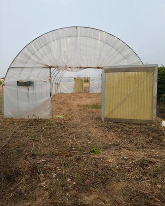 Serra agrigola