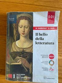 Il bello della letteratura