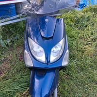 majesty 125
