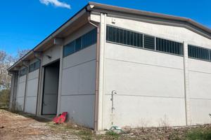 Capannone Vari Utilizzi