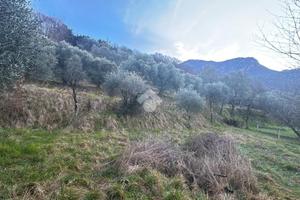 TER. AGRICOLO A LIERNA