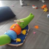 Coccodrillo citta del sole a dondolo