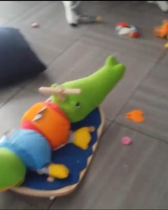 Coccodrillo citta del sole a dondolo