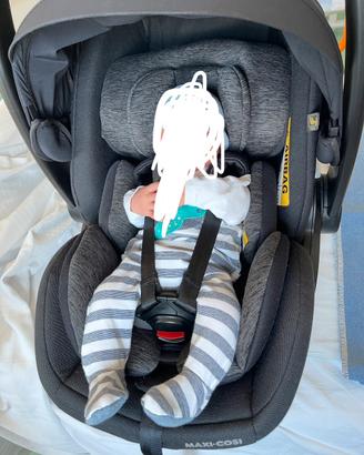 Ovetto auto Murble 0-15 mesi Maxi Cosi