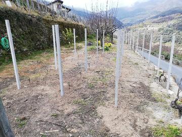 Terreno agricolo ceriana