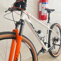 Bicicletta mountain bike