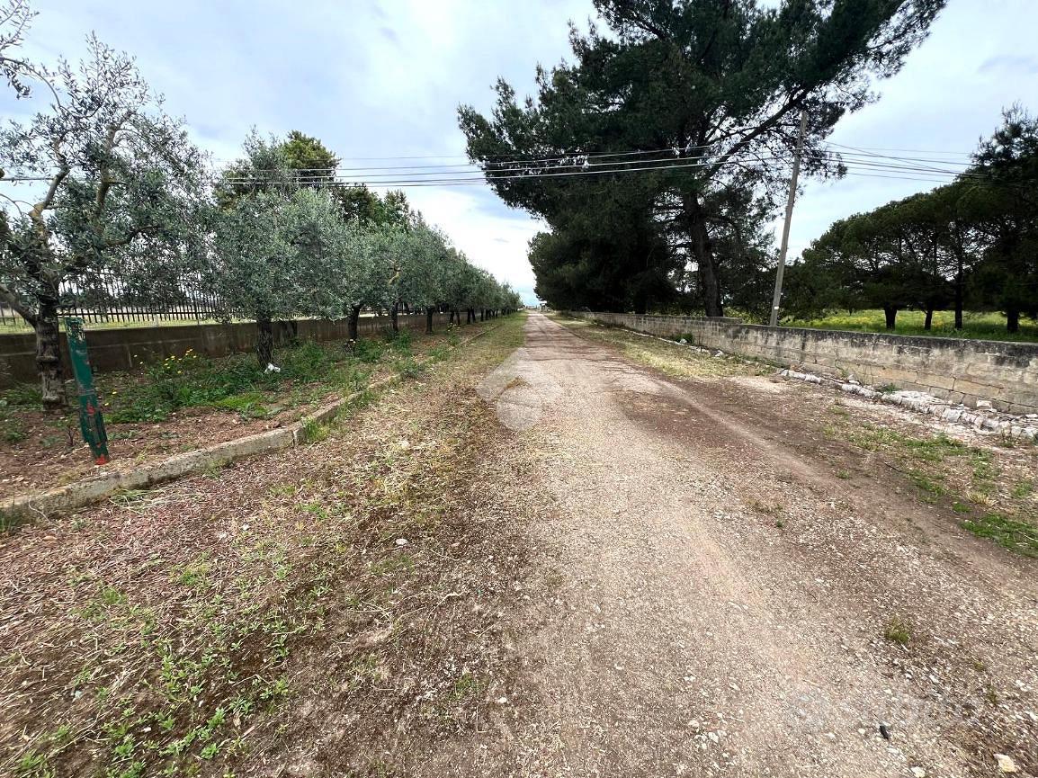 TER. RESIDENZIALE A ALTAMURA - Vista 3