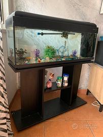 acquario