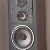 coppia casse sony ss e50 (seas)