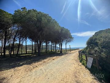 Casa estiva lacona isola d'Elba