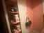 Immagine 2