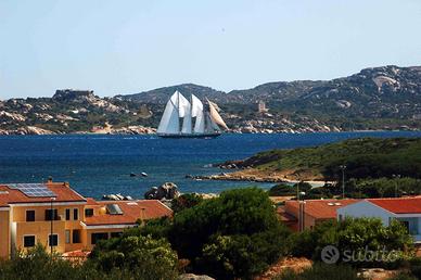 In sardegna col proprio animale
